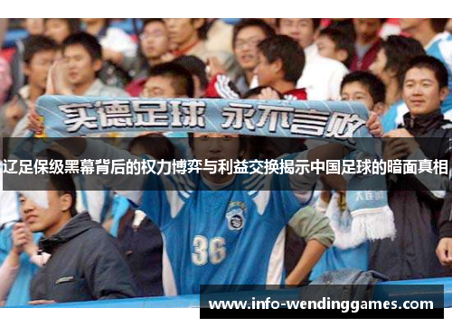 辽足保级黑幕背后的权力博弈与利益交换揭示中国足球的暗面真相